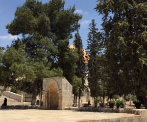 57. Al Masjid Al Aqsa - Dome of the Rock Surrounded by Trees